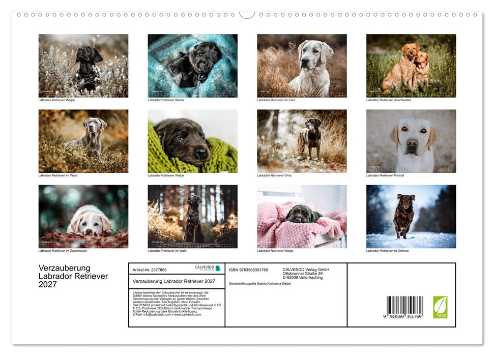 Verzauberung Labrador Retriever 2027 (CALVENDO Premium Wandkalender 2027)