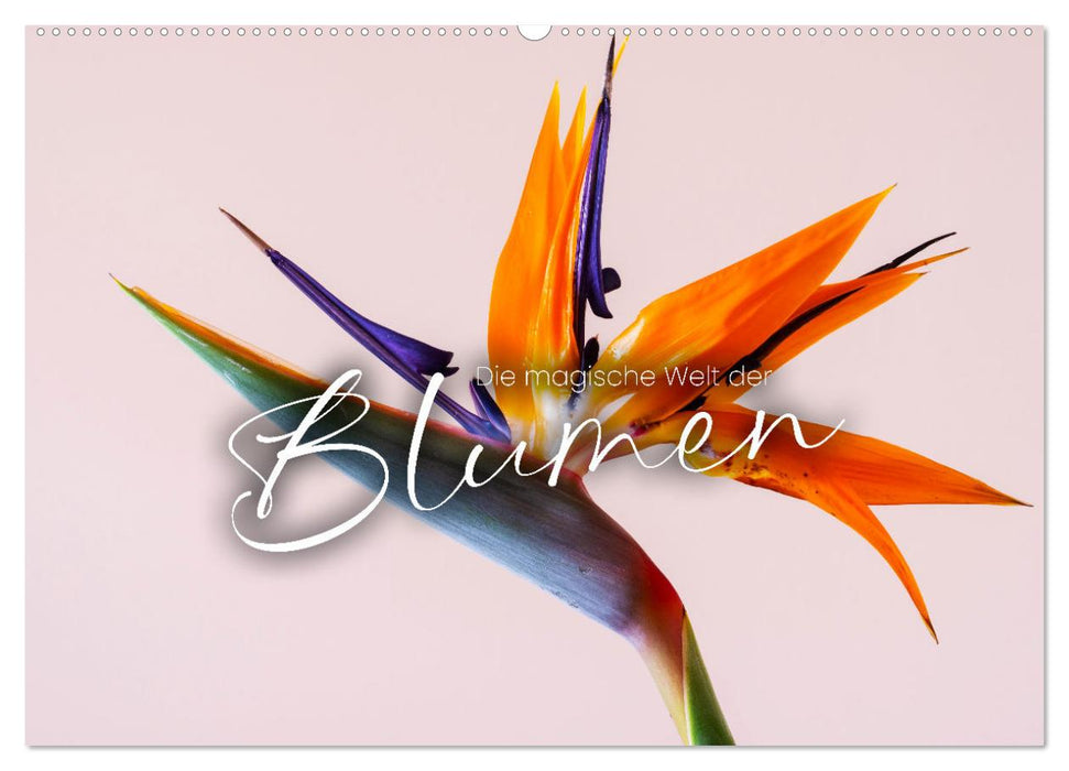 Die magische Welt der Blumen (CALVENDO Wandkalender 2027)