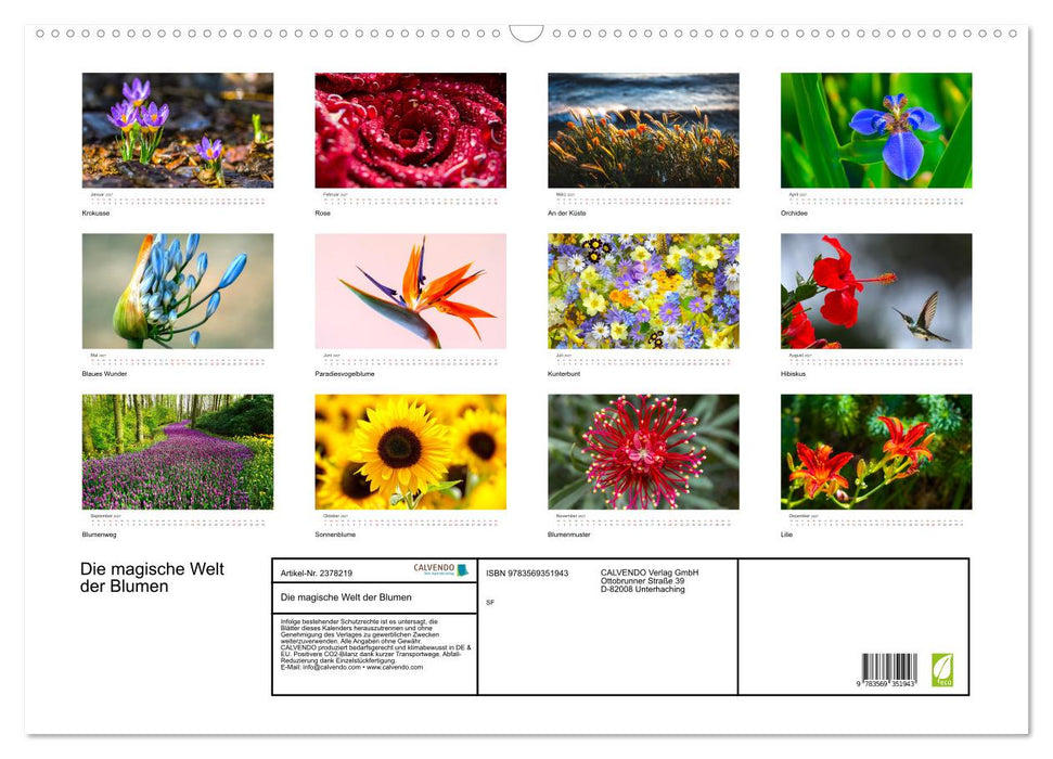 Die magische Welt der Blumen (CALVENDO Wandkalender 2027)