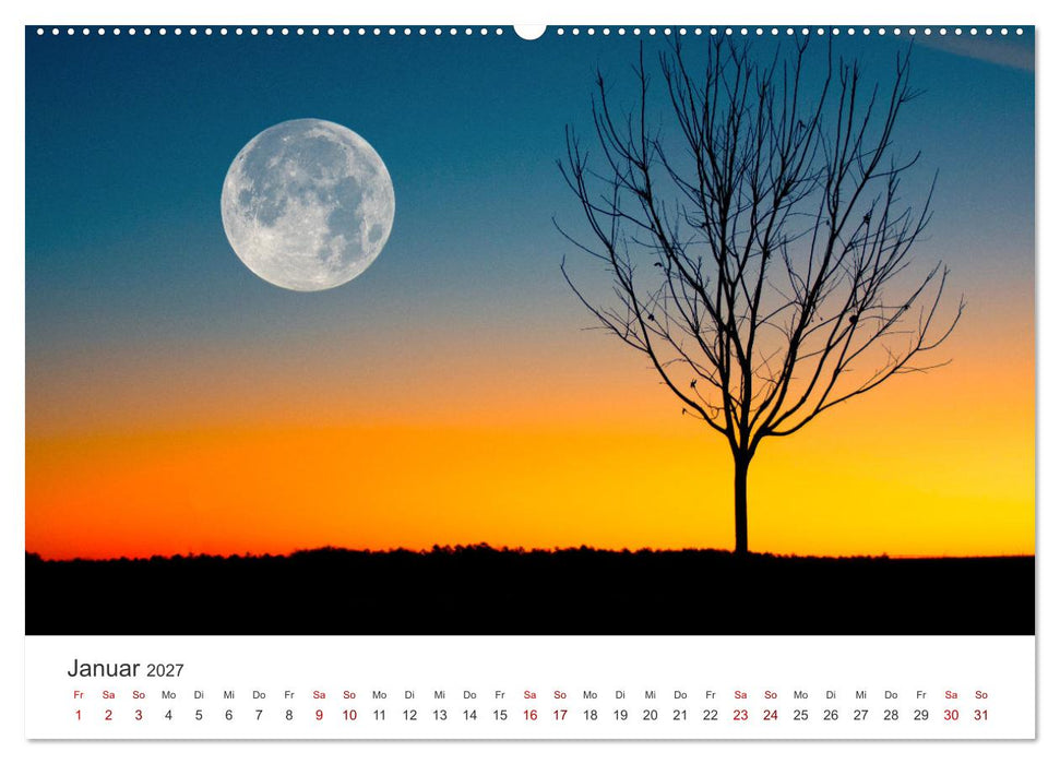 Alleinstehende Bäume (CALVENDO Premium Wandkalender 2027)