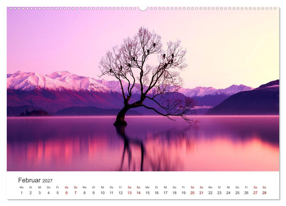Alleinstehende Bäume (CALVENDO Premium Wandkalender 2027)