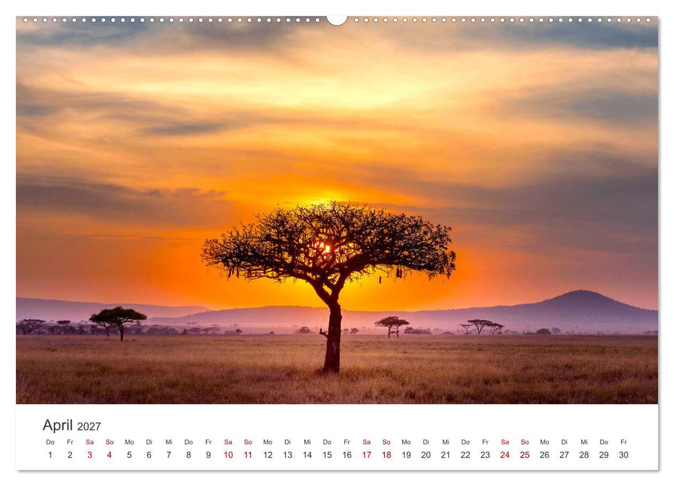 Alleinstehende Bäume (CALVENDO Premium Wandkalender 2027)