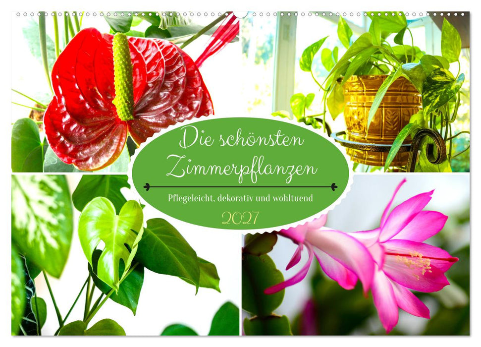 Die schönsten Zimmerpflanzen. Pflegeleicht, dekorativ und wohltuend (CALVENDO Wandkalender 2027)