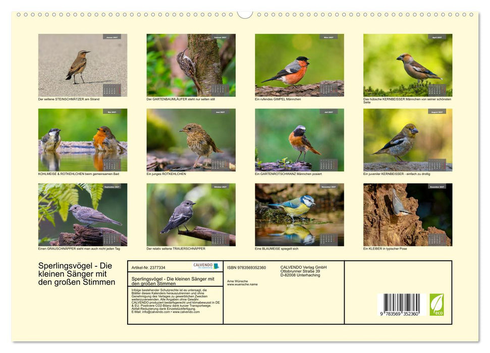 Sperlingsvögel - Die kleinen Sänger mit den großen Stimmen (CALVENDO Premium Wandkalender 2027)