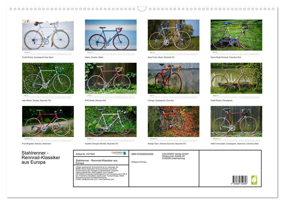Stahlrenner - Rennrad-Klassiker aus Europa (CALVENDO Wandkalender 2027)