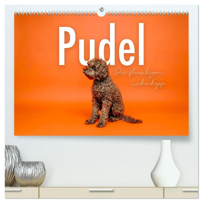 Pudel - Die flauschigen Lockenköpfe. (CALVENDO Premium Wandkalender 2027)