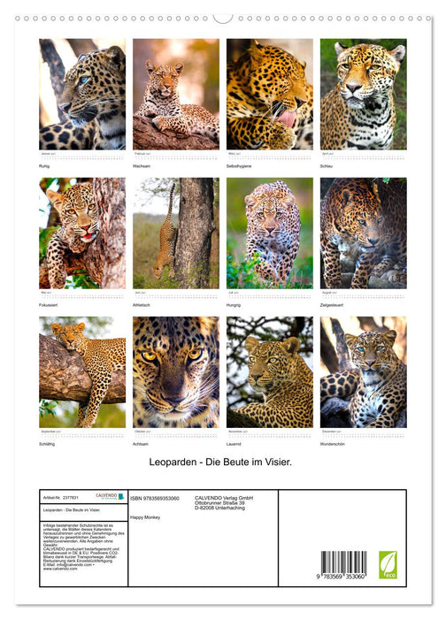 Leoparden - Die Beute im Visier. (CALVENDO Premium Wandkalender 2027)