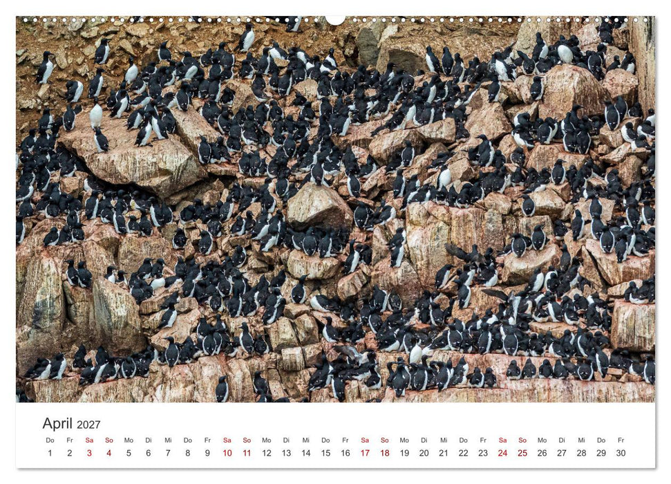 Spitzbergen - Eis, Eisbären und mehr (CALVENDO Wandkalender 2027)