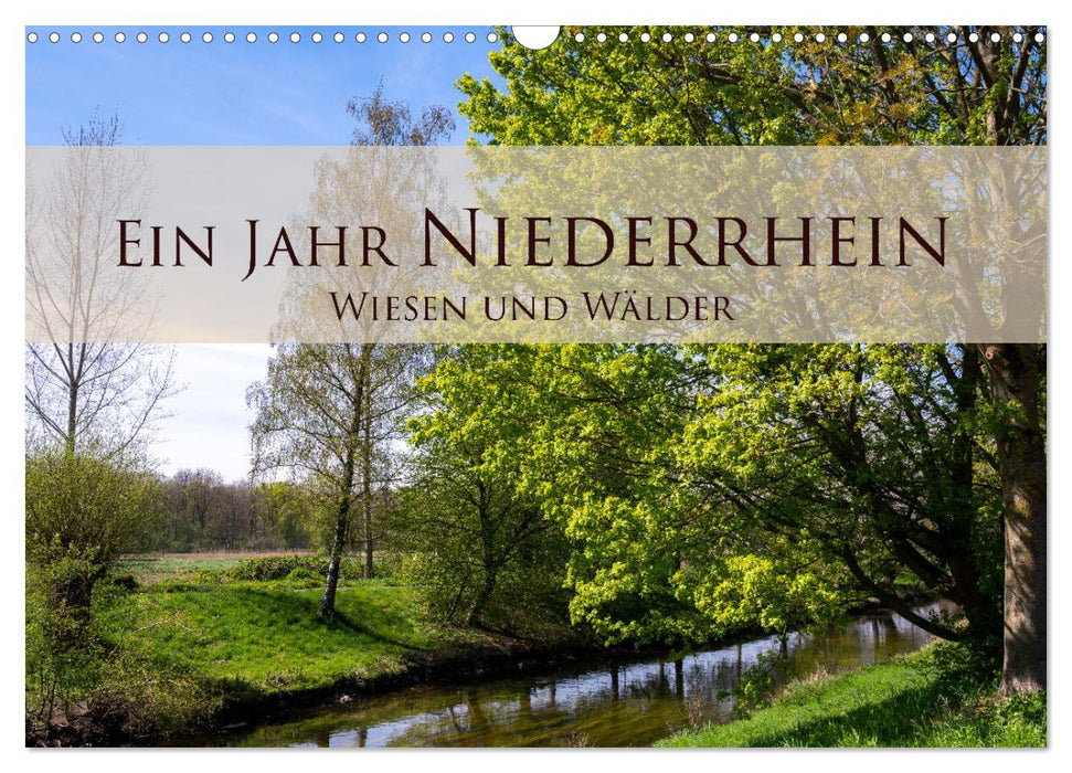 Ein Jahr Niederrhein Wiesen und Wälder (CALVENDO Wandkalender 2027)