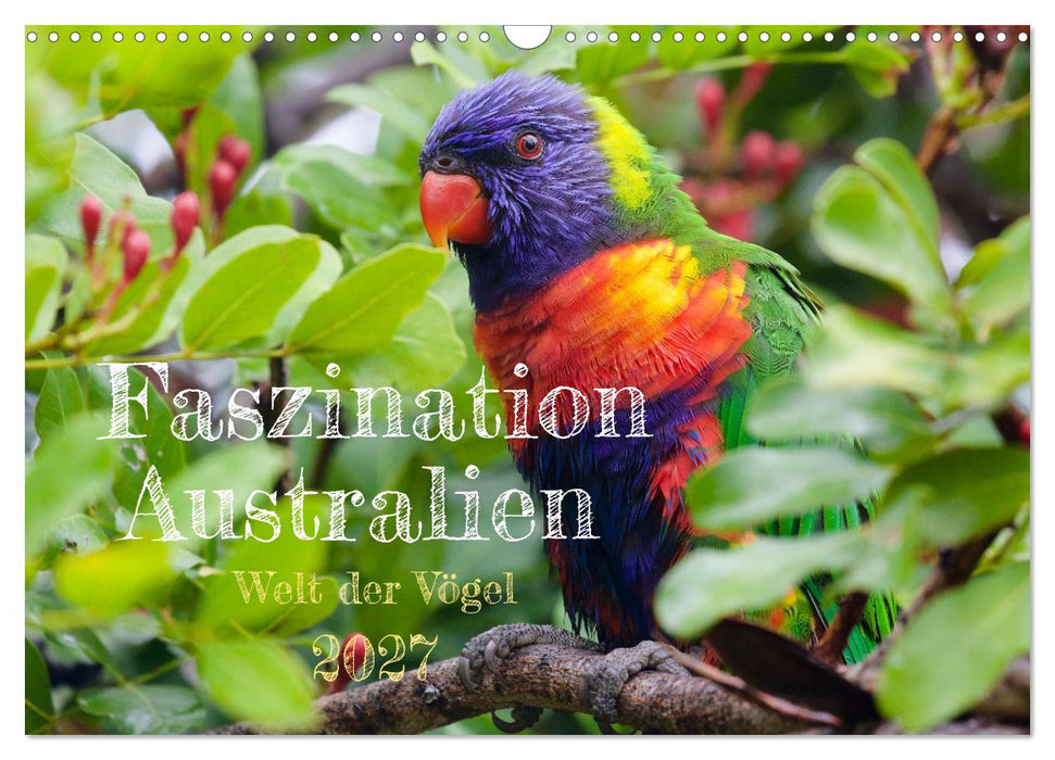 Faszination Australien - Welt der Vögel (CALVENDO Wandkalender 2027)