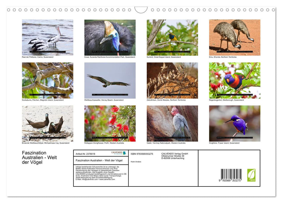 Faszination Australien - Welt der Vögel (CALVENDO Wandkalender 2027)