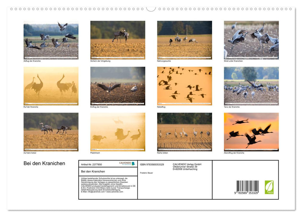 Bei den Kranichen (CALVENDO Premium Wandkalender 2027)