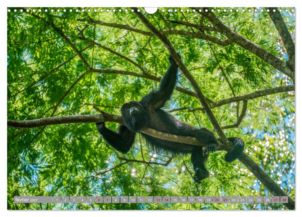 Guatemala - Un pays spectaculaire (CALVENDO Calendrier mensuel 2027)