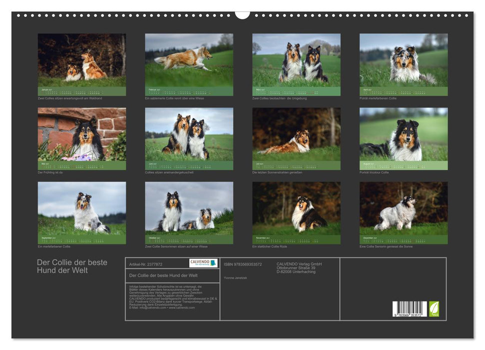 Der Collie der beste Hund der Welt (CALVENDO Wandkalender 2027)