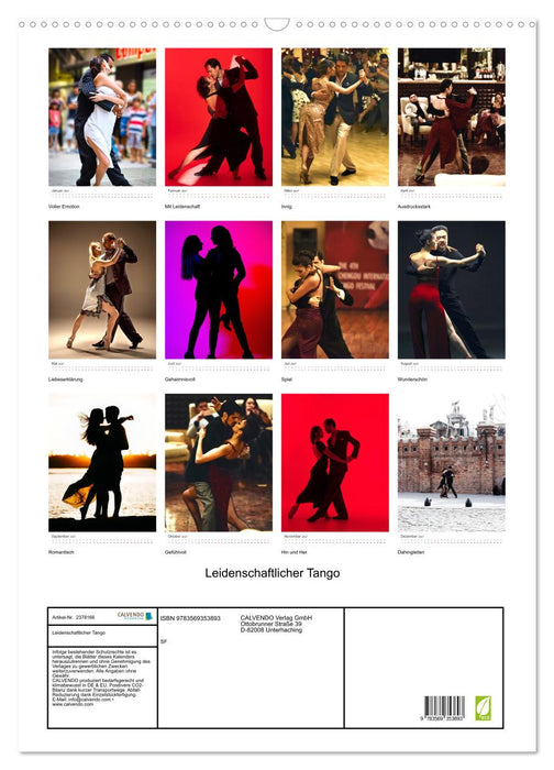 Leidenschaftlicher Tango (CALVENDO Wandkalender 2027)