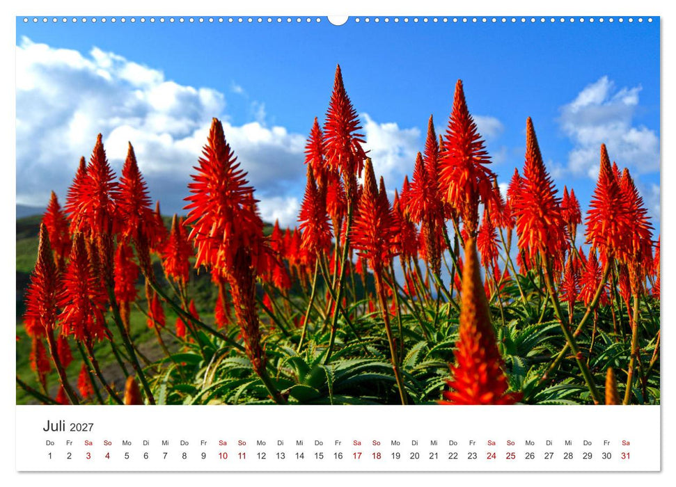 Madeira - Die Blumeninsel im Atlantik. (CALVENDO Premium Wandkalender 2027)