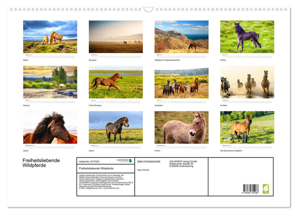 Freiheitsliebende Wildpferde (CALVENDO Wandkalender 2027)