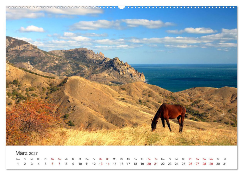 Freiheitsliebende Wildpferde (CALVENDO Wandkalender 2027)