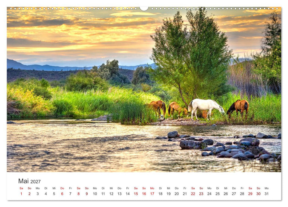 Freiheitsliebende Wildpferde (CALVENDO Wandkalender 2027)