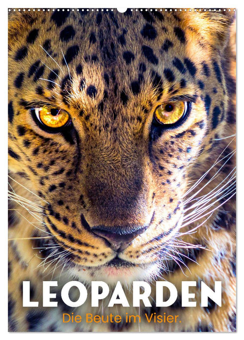 Leoparden - Die Beute im Visier. (CALVENDO Wandkalender 2027)