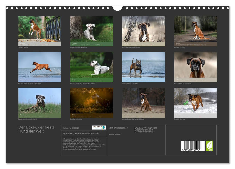 Der Boxer, der beste Hund der Welt (CALVENDO Wandkalender 2027)