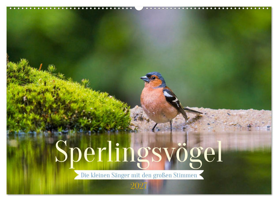 Sperlingsvögel - Die kleinen Sänger mit den großen Stimmen (CALVENDO Wandkalender 2027)