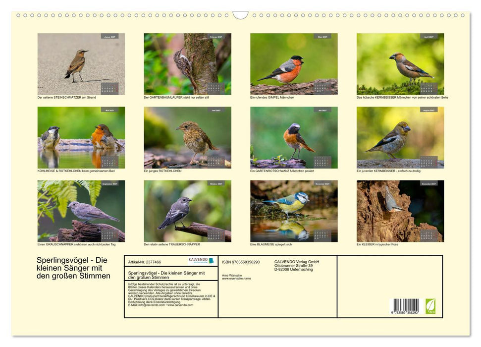 Sperlingsvögel - Die kleinen Sänger mit den großen Stimmen (CALVENDO Wandkalender 2027)