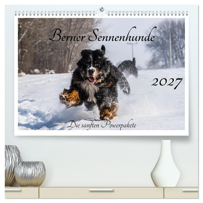 Berner Sennenhunde - Die sanften Powerpakete (CALVENDO Premium Wandkalender 2027)