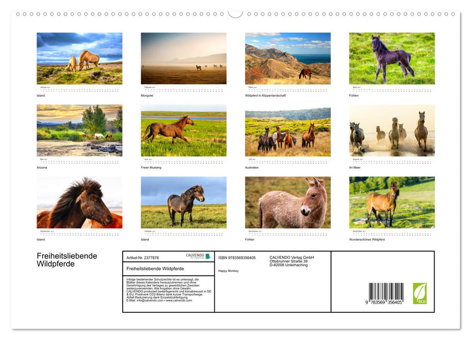 Freiheitsliebende Wildpferde (CALVENDO Premium Wandkalender 2027)