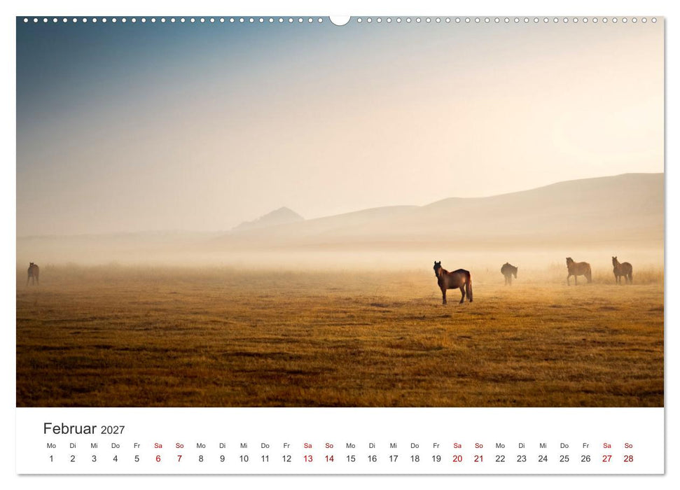 Freiheitsliebende Wildpferde (CALVENDO Premium Wandkalender 2027)