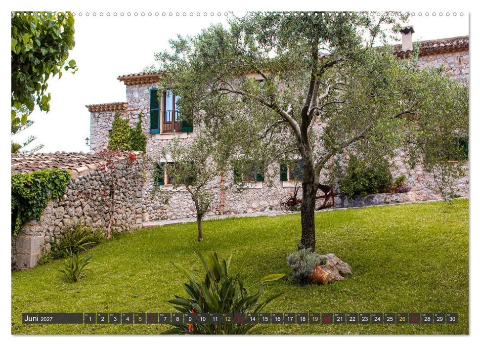 Olivenbäume auf Mallorca - Die Schönheit des Alters (CALVENDO Wandkalender 2027)