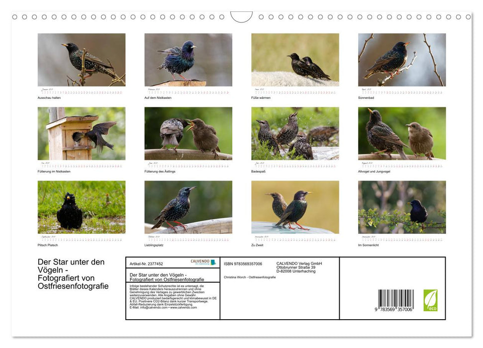 Der Star unter den Vögeln - Fotografiert von Ostfriesenfotografie (CALVENDO Wandkalender 2027)