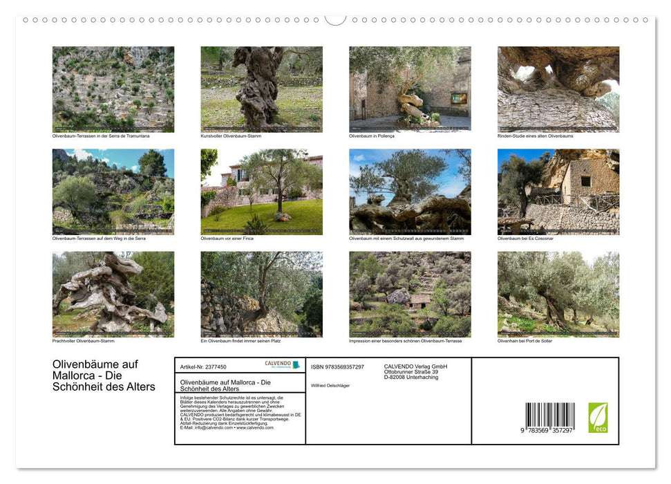 Olivenbäume auf Mallorca - Die Schönheit des Alters (CALVENDO Premium Wandkalender 2027)