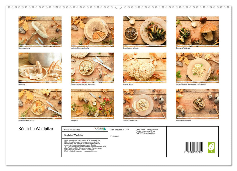 Köstliche Waldpilze (CALVENDO Premium Wandkalender 2027)