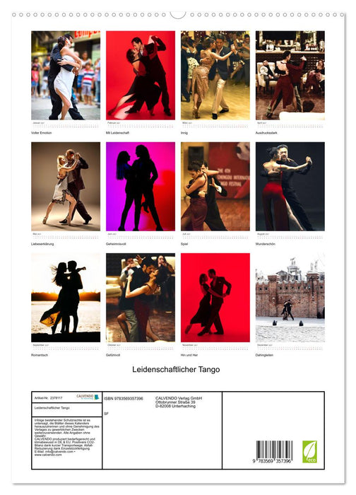 Leidenschaftlicher Tango (CALVENDO Premium Wandkalender 2027)
