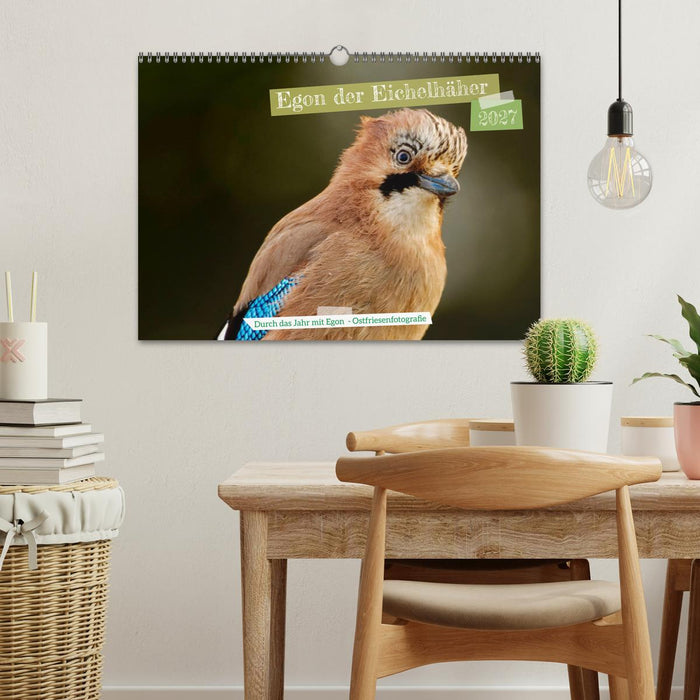 Egon der Eichelhäher - Durch das Jahr mit Egon - von Ostfriesenfotografie (CALVENDO Wandkalender 2027)
