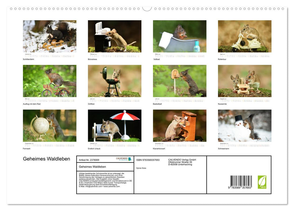 Geheimes Waldleben (CALVENDO Premium Wandkalender 2027)