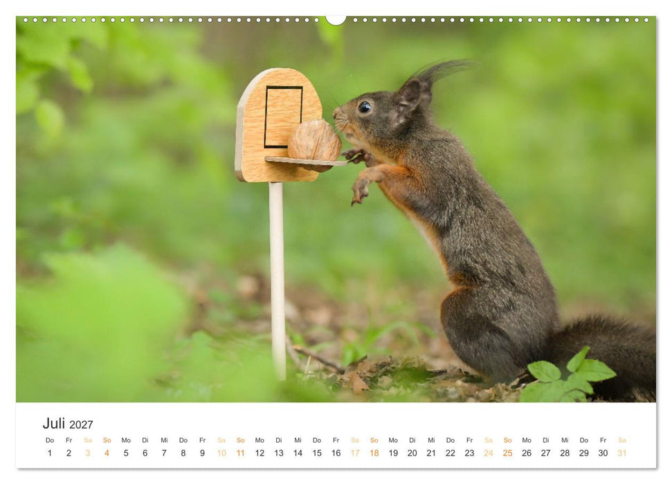 Geheimes Waldleben (CALVENDO Premium Wandkalender 2027)