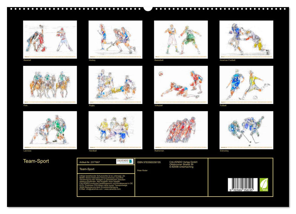 Team-Sport (CALVENDO Premium Wandkalender 2027)