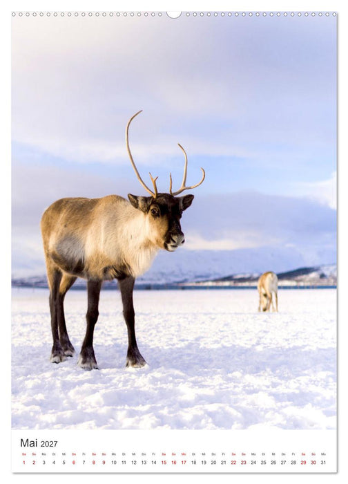 Finnland - Bezaubernde Schönheit. (CALVENDO Wandkalender 2027)