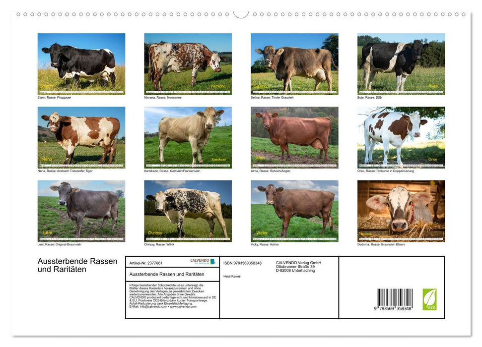 Aussterbende Rassen und Raritäten (CALVENDO Premium Wandkalender 2027)