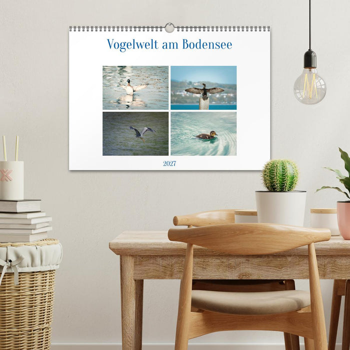 Vogelwelt am Bodensee 2027 (CALVENDO Wandkalender 2027)