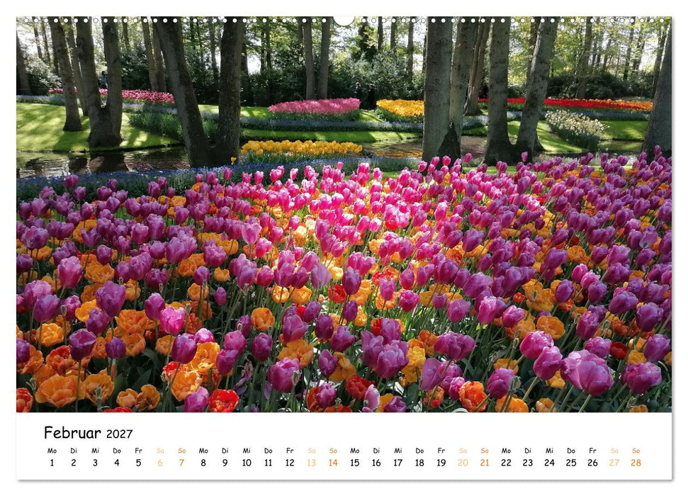 Auf Tour im Land der Tulpen (CALVENDO Premium Wandkalender 2027)