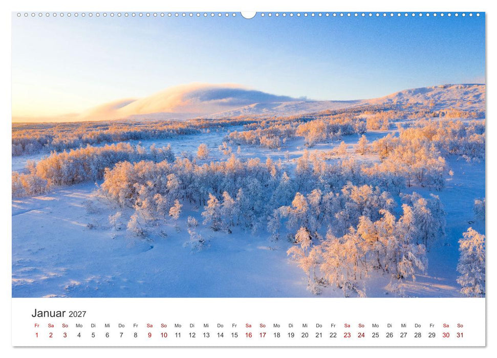 Eine Reise durch die Wälder dieser Welt (CALVENDO Premium Wandkalender 2027)