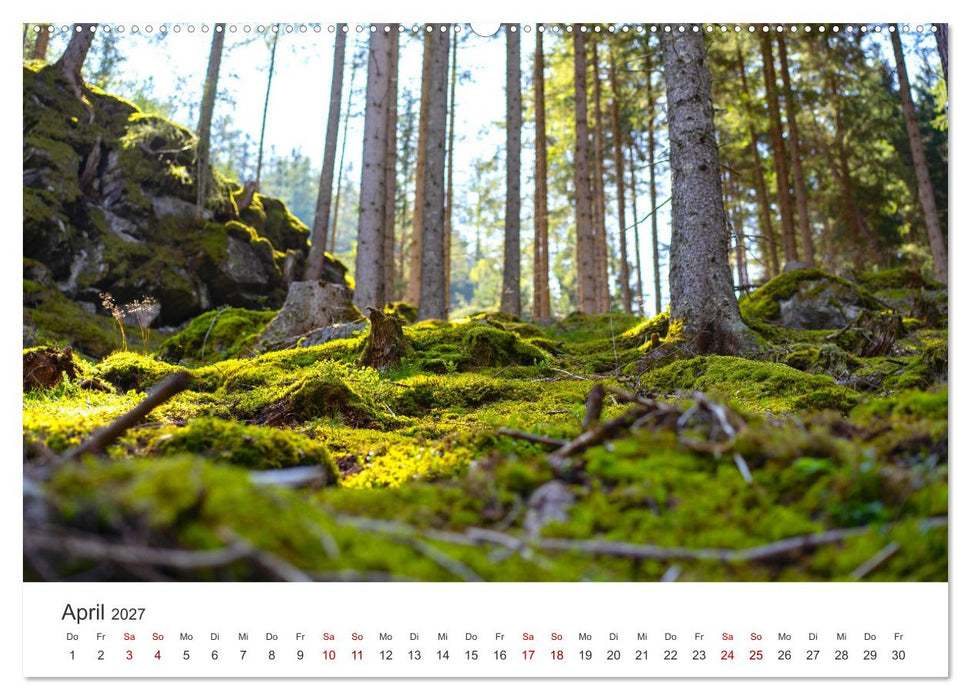 Eine Reise durch die Wälder dieser Welt (CALVENDO Premium Wandkalender 2027)