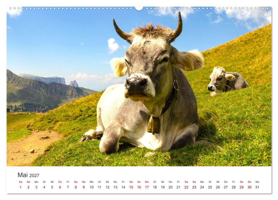 Seiser Alm - Im Herzen der Dolomiten. (CALVENDO Premium Wandkalender 2027)