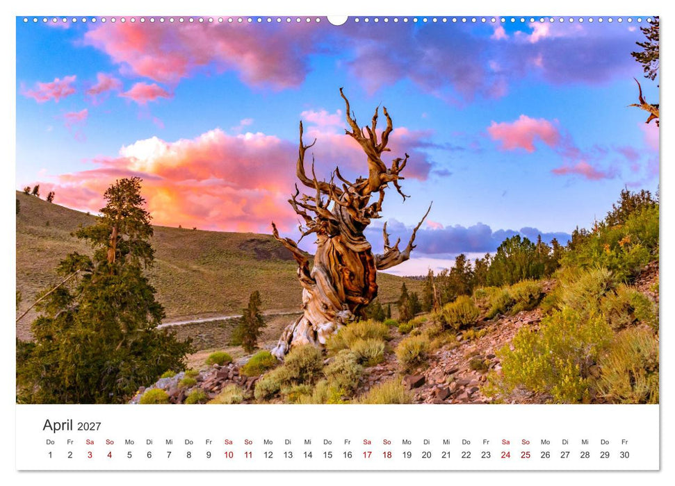 Das ist Kalifornien - So wie Sie es noch nie erlebt haben. (CALVENDO Wandkalender 2027)