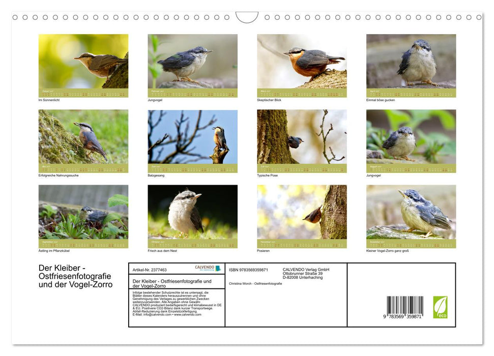 Der Kleiber - Ostfriesenfotografie und der Vogel-Zorro (CALVENDO Wandkalender 2027)