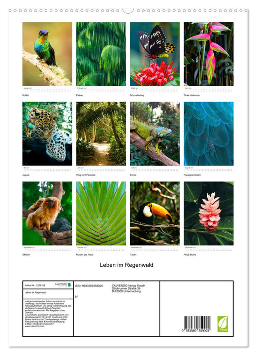 Leben im Regenwald (CALVENDO Premium Wandkalender 2027)