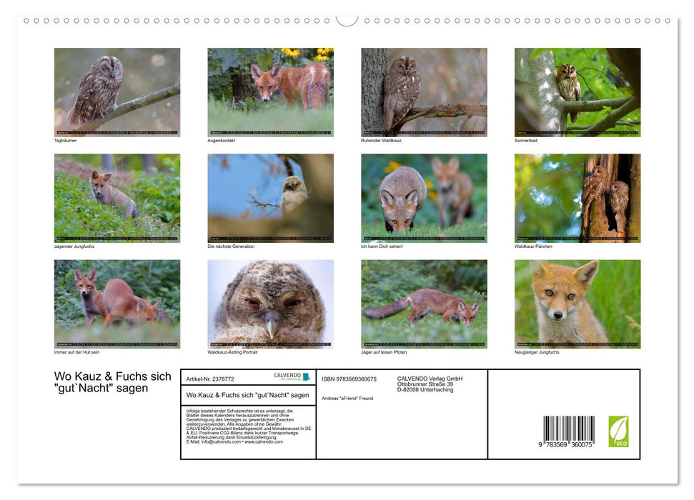 Wo Kauz & Fuchs sich "gut`Nacht" sagen (CALVENDO Premium Wandkalender 2027)